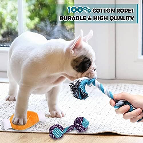 Dog/Puppy Teething Toys, Assorted Chew Toys, 6 ct