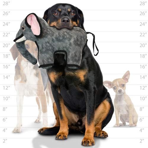 TUFFY - World's Tuffest Soft Dog Toy- Zoo Elephant -Multiple Layers. Made Durable, Strong & Tough. Interactive Play (Tug, Toss & Fetch). Machine Washable & Floats. (Regular 2 Pack)