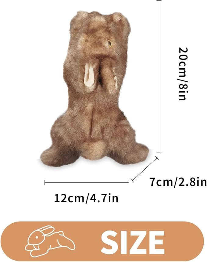 ALL FOR PAWS Squeaky Dog Toys,Animal Plush Dog Toy,Stuffed Dog Toys,Puppy Toys for Teething Small Dogs