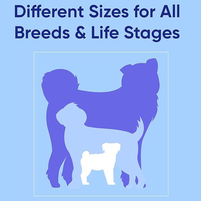 Pawtitas Dog Harness for Large Dogs Purple Dog Harness Step in from a Senior Dog to a Puppy Harness Adjustable Reflective Dog Harness S Reflective Dog Vest