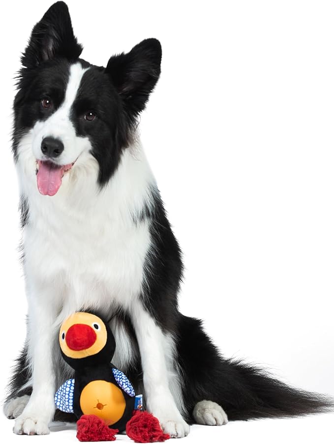 Dodo Treat Dispensing Dog Toy; Dodo Bird Dog Toy with Rope Legs for Chewing