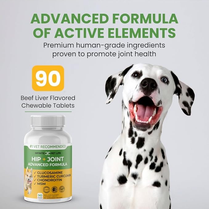 Advanced Hip and Joint Supplement for Dogs Large Breed - Glucosamine for Dogs Mobility & Pain Relief - All Natural Chondroitin, MSM & Turmeric Dog Joint Supplement - 90 Chewable Tablets