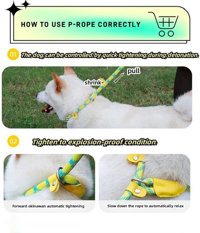 Slip Lead Dog Leash – 5FT, 2 Sizes – Reflective Mountain Climbing Rope (Turquoise, 2/1)