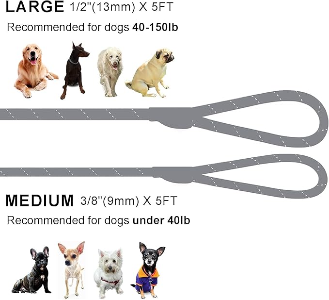 Slip Lead Dog Leash – 5FT, 2 Sizes – Reflective Mountain Climbing Rope (Gray, 3/8)