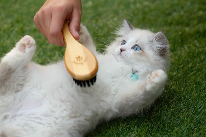 Premium Bamboo Cat Grooming Kit: Cat Brushes for Indoor Cats, Kitten Brush, and Dematting Comb for Long Haired Cats | Bamboo Grooming Supplies with kitten brush