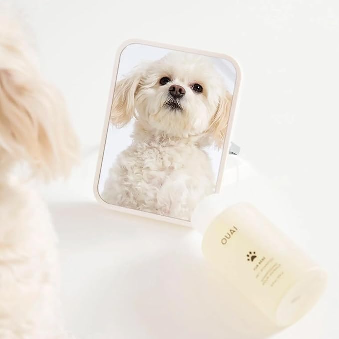 OUAI Fur Bébé Pet Shampoo, Mercer Street Scent - Dog Shampoo and Coat Wash for Hydrating, Cleansing and Adding Shine - Pet Supplies by OUAI (16 Fl Oz)