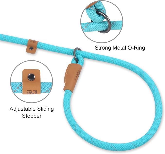Slip Lead Dog Leash – 5FT, 2 Sizes – Reflective Mountain Climbing Rope (Gray, 2/1)