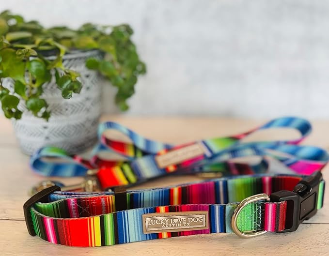 Lucky Love Dog - Adjustable Dog Collar with Easy Click Buckle for Small to Large Dogs, Durable, & Comfortable for Male & Female Dogs, Pet Collar for Puppies & Adult Ones - Nacho, Large