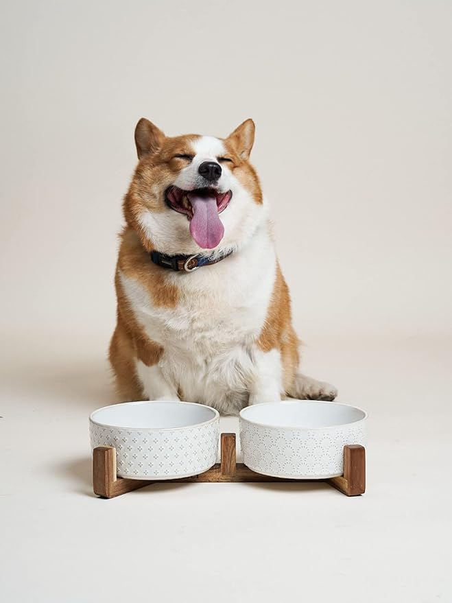 LE TAUCI Ceramic Dog Bowls, Set with Acacia Wood Stand, 7 Inch Food and Water Bowl for Medium Large Dogs