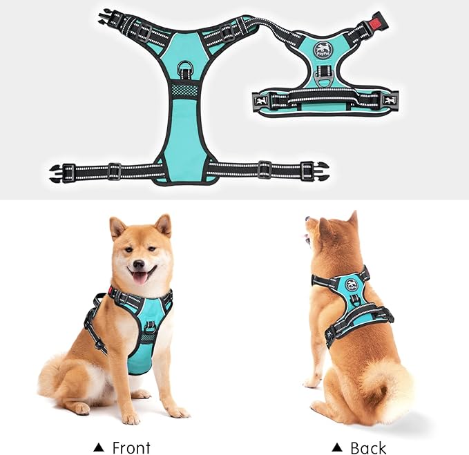 PoyPet No Pull Dog Harness, No Choke Front Lead Dog Reflective Harness, Adjustable Soft Padded Pet Vest with Easy Control Handle for Small to Large Dogs(Mint Blue,S)