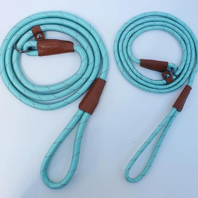 Slip Lead Dog Leash – 5FT, 2 Sizes – Reflective Mountain Climbing Rope (Black, 2/1)