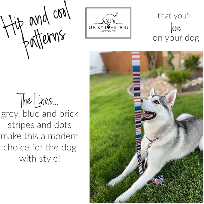 Lucky Love Dog - Adjustable Dog Collar with Easy Click Buckle for Small to Large Dogs, Durable, & Comfortable for Male & Female Dogs, Pet Collar for Puppies & Adult Ones - Linus, Large
