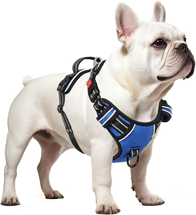 Timos Dog Harness Small Sized, No Pull with Neck Lockable Snap,No Choke Front Clip Dog Reflective Harness,Adjustable Metal Rings 3 Buckles,Easy Control Handle for Small Dogs Blue XS
