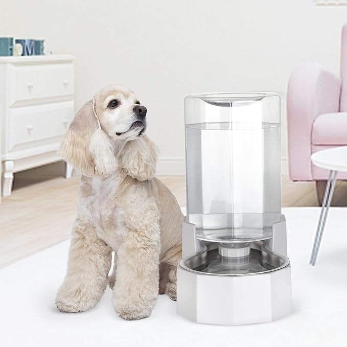 Automatic Pet Water Dispenser with Stainless Steel Bowl, Gravity Waterer, Angular Water Feeder for Small to Large Dogs and Cats (White, 6L Without Filter)