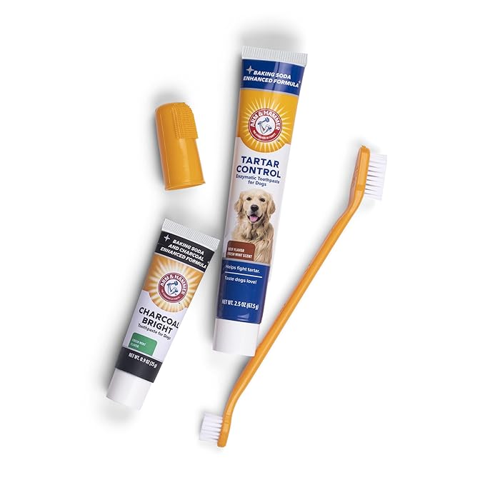 Arm & Hammer Tartar Control Dental Kit for Dogs, with Bonus Charcoal Bright 0.84oz Sample Tube - Dog Toothbrush Dental Kit from 4 Piece Dog Toothbrush Kit, 2.5 Ounce