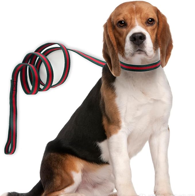 Premium Dog Collar, Cute Dog Collars Luxury Style, Durable Pet Collars and Dog Leash with Metal Buckle Safety for Puppy Small Dogs