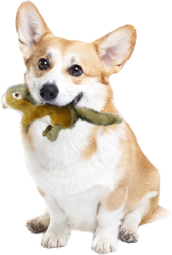 ALL FOR PAWS Squeaky Dog Toys,Animal Plush Dog Toy,Stuffed Dog Toys,Puppy Toys for Teething Small Dogs