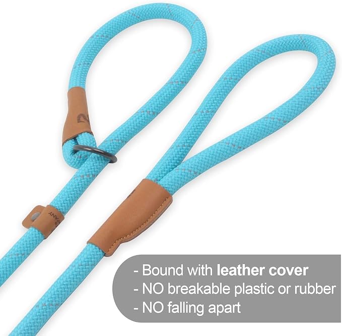 Slip Lead Dog Leash – 5FT, 2 Sizes – Reflective Mountain Climbing Rope (Gray, 3/8)