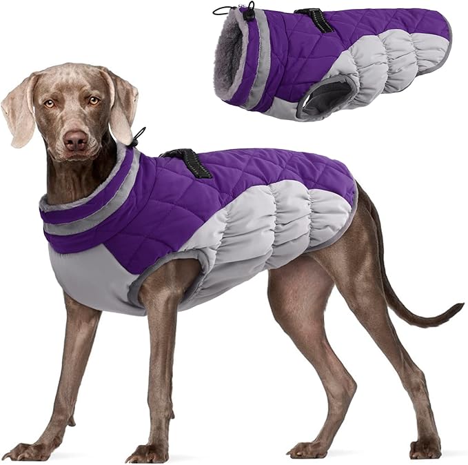 FUAMEY Warm Dog Jacket, Winter Coat with Padded Fleece, Reflective Vest, Built-in Harness, Waterproof & Windproof, Purple, Large