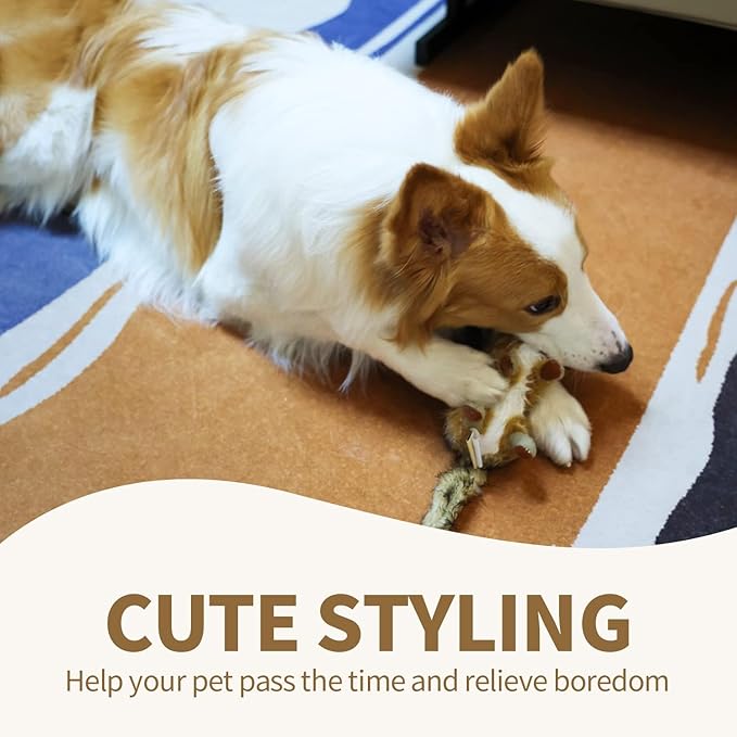 ALL FOR PAWS Squeaky Dog Toys,Animal Plush Dog Toy,Stuffed Dog Toys,Puppy Toys for Teething Small Dogs