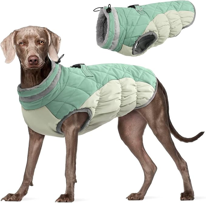 FUAMEY Winter Dog Jacket, Padded Coat with Built-in Harness - Water Resistant - Mint Green - S-XL