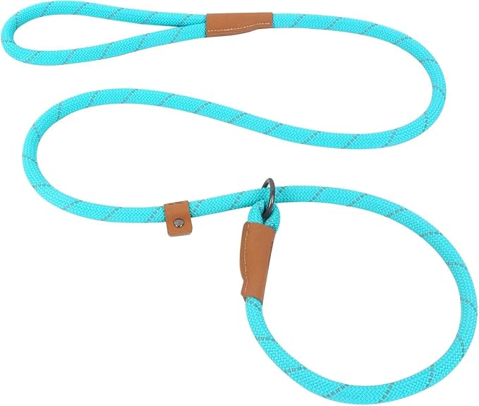 Slip Lead Dog Leash – 5FT, 2 Sizes – Reflective Mountain Climbing Rope (Turquoise, 2/1)