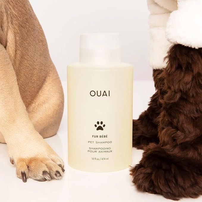 OUAI Fur Bébé Pet Shampoo, Mercer Street Scent - Dog Shampoo and Coat Wash for Hydrating, Cleansing and Adding Shine - Pet Supplies by OUAI (16 Fl Oz)