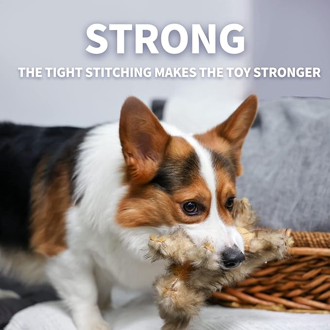 ALL FOR PAWS Squeaky Dog Toys,Animal Plush Dog Toy,Stuffed Dog Toys,Puppy Toys for Teething Small Dogs