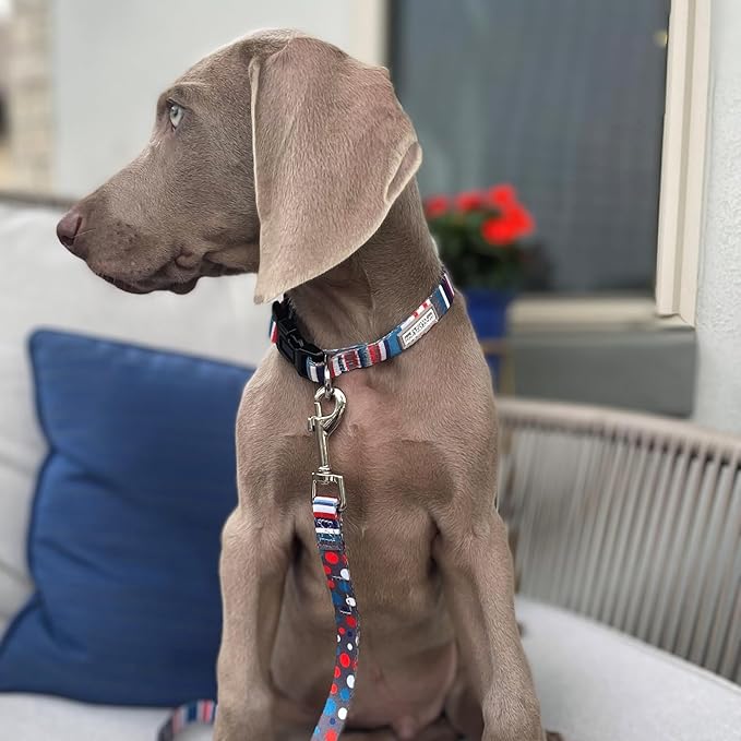 Lucky Love Dog - Adjustable Dog Collar with Easy Click Buckle for Small to Large Dogs, Durable, & Comfortable for Male & Female Dogs, Pet Collar for Puppies & Adult Ones - Linus, XS