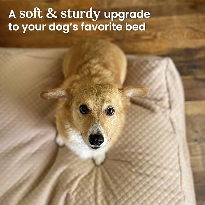 4Knines Luxury Dog Bed Cover - USA Based - Premium Durable Quilted Waterproof Heavy Duty Material - Medium - Tan