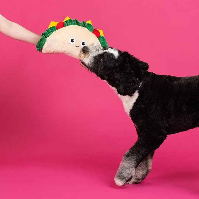 Fringe Studio Large Plush Dog Toy, FANTAS-Taco!, Pet Shop Collection (728023)