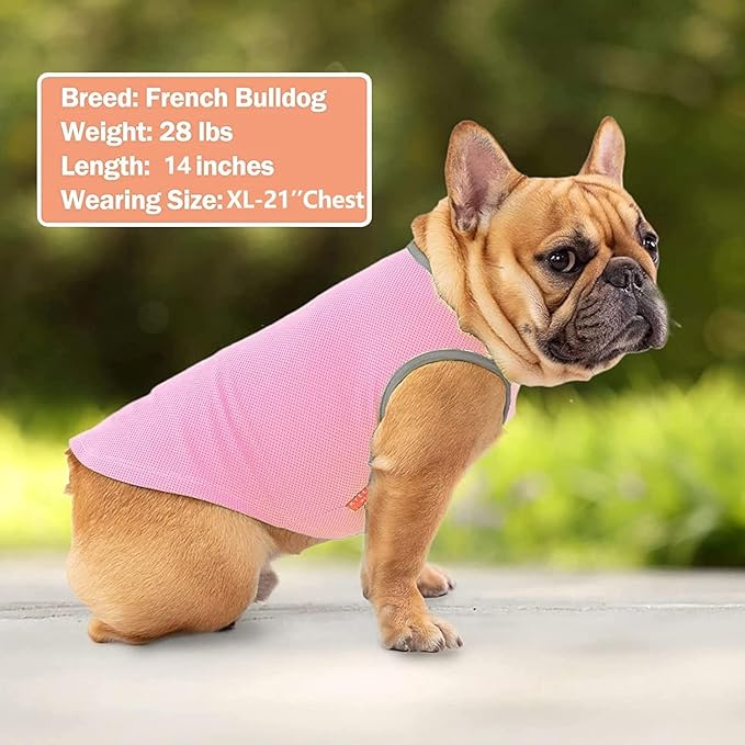 KYEESE 2 Pack Dog Cooling Shirts - Summer Dog Apparel, Lightweight for Breathable Instant Cooling Vests Soft Cooling Vest, Pink+Grey, Large