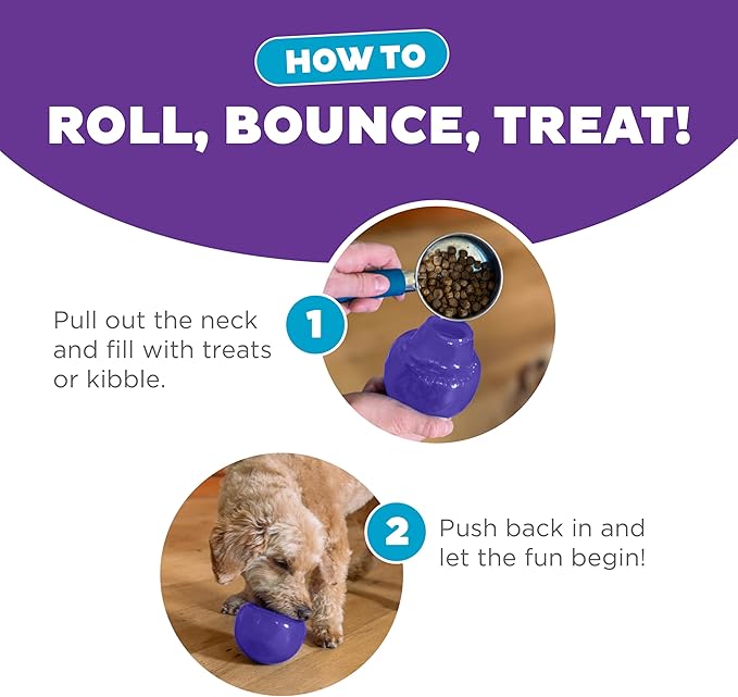 Outward Hound by Planet Dog Lil' Snoop Durable Interactive Treat Dispensing Dog Toy, Small, Purple