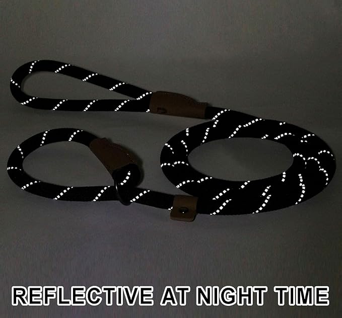 Slip Lead Dog Leash – 5FT, 2 Sizes – Reflective Mountain Climbing Rope (Black, 2/1)