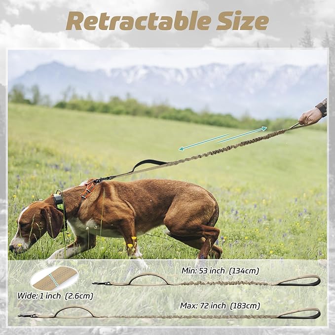 rabbitgoo Tactical Bungee Dog Leash with Shock Absorption, Military Training Leash with 2 Padded Control Handles for Medium Large Dogs, 6FT, Brown