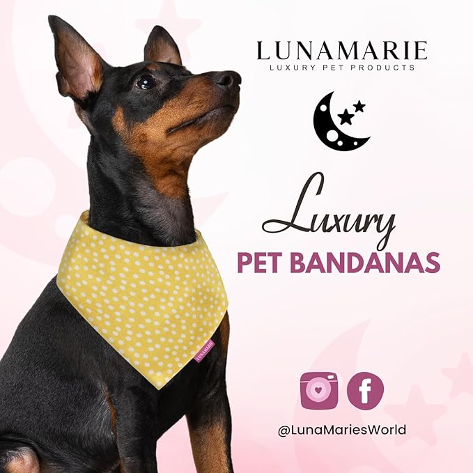 Luxury Pet Birthday Bandanas -Premium & Silky Poly Fabric | 100% Handmade | Custom Shape Dual Layered (Sophie, X-Small)