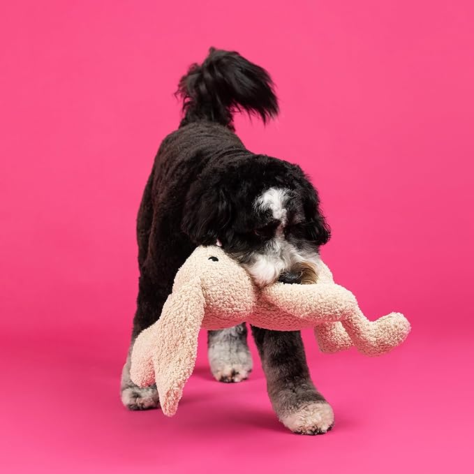 Fringe Studio Large Plush Dog Toy, Hoppy to See You, Pet Shop Collection (728034)