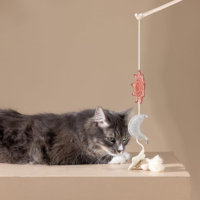 Fringe Studio "Happy Skies Teaser Cat Toy, PetShop Collection (717002)