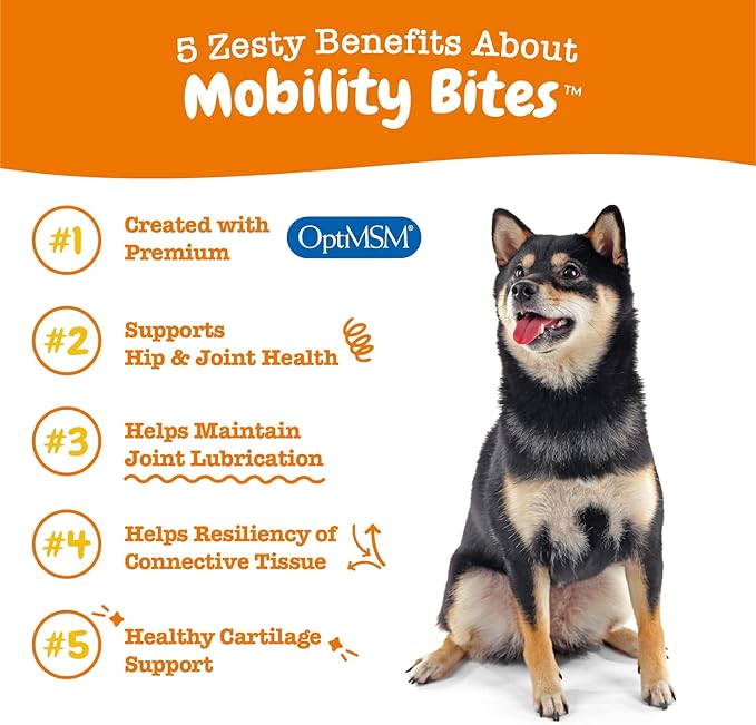 Zesty Paws Hip and Joint Supplement for Dogs - Glucosamine with Chondroitin, MSM, Vitamins C and E Dog Joint Relief - Mobility Bites Duck – 90 Count