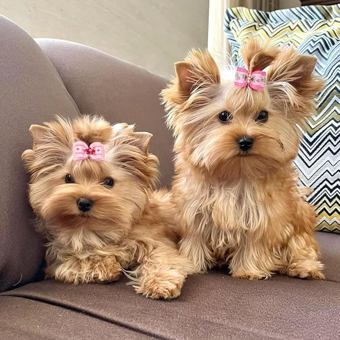 Yxiang 24PCS Dog Hair Bows, Pink Cute Dog Hair Bows Yorkie Puppy Bows with Rubber Band Pet Grooming Bows Colored Polka Dot Dog Hair Accessories for Small Dogs