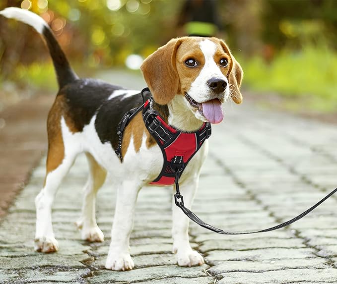 PoyPet No Pull Dog Harness, No Choke Front Clip Dog Reflective Harness, Adjustable Soft Padded Pet Vest with Easy Control Handle for Small to Large Dogs(Red,S)
