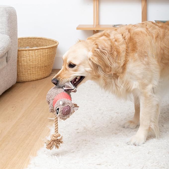 Fringe Studio "MS CHIP Mixed Material Dog Toy, Exclusive Artwork by Madison Safer, PetShop Collection (765003)