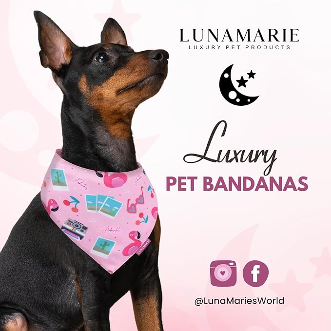 Luxury Pet Birthday Bandanas -Premium & Silky Poly Fabric | 100% Handmade | Custom Shape Dual Layered (Summer Vibes, Medium)