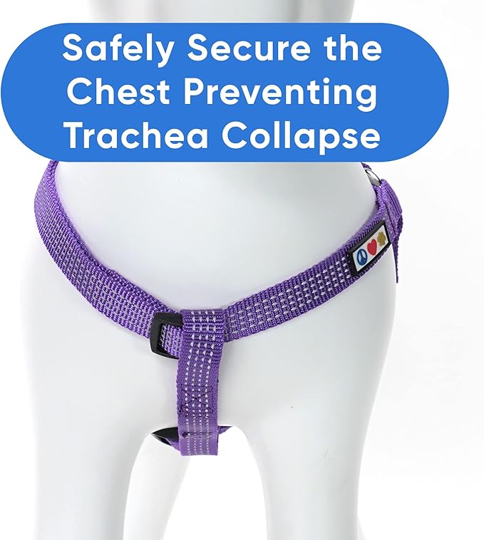 Pawtitas Medium Dog Harness - Purple, Adjustable, Reflective Step-in Harness for Senior Dogs to Puppies
