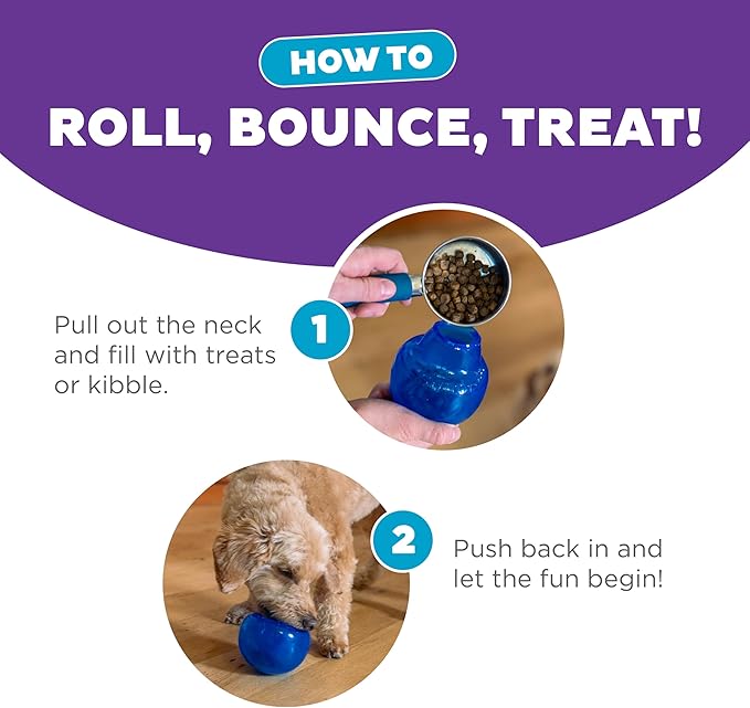 Outward Hound by Planet Dog Lil' Snoop Durable Interactive Treat Dispensing Dog Toy, Small, Royal Blue