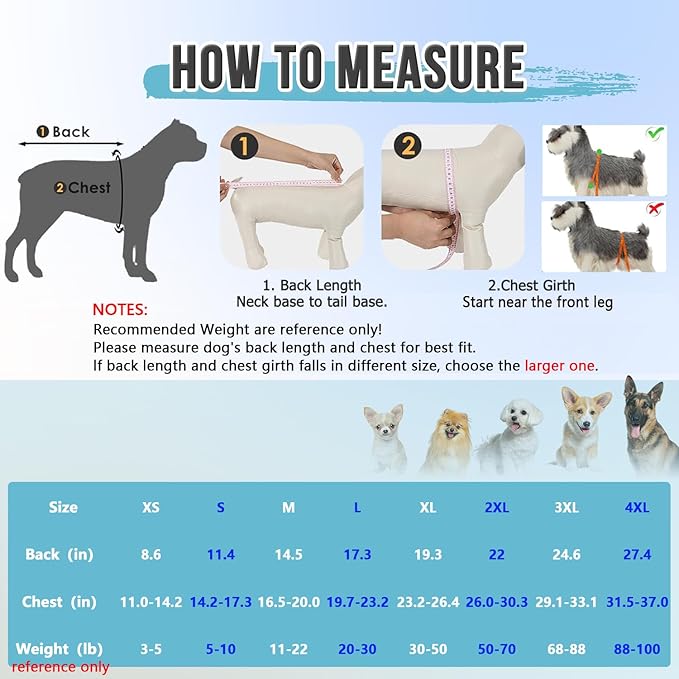 Lukovee Recovery Suit for Dogs - Zipper Onesie for Female & Male Dogs, Abdominal Wounds Cone E-Collar Alternative, Prevent Licking - Spay Recovery Suit (Small, Blue & White)
