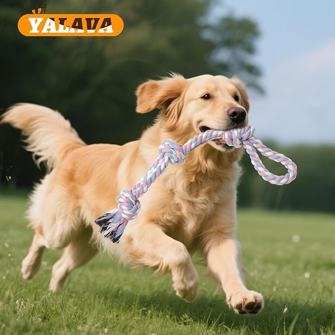 2 Pack Dog Rope Toy for Aggressive Chewers, 20 Inch Heavy Duty Chew Toys for Teeth Cleaning, Cotton Rope Dog Tug Toy for Medium to Large Breed