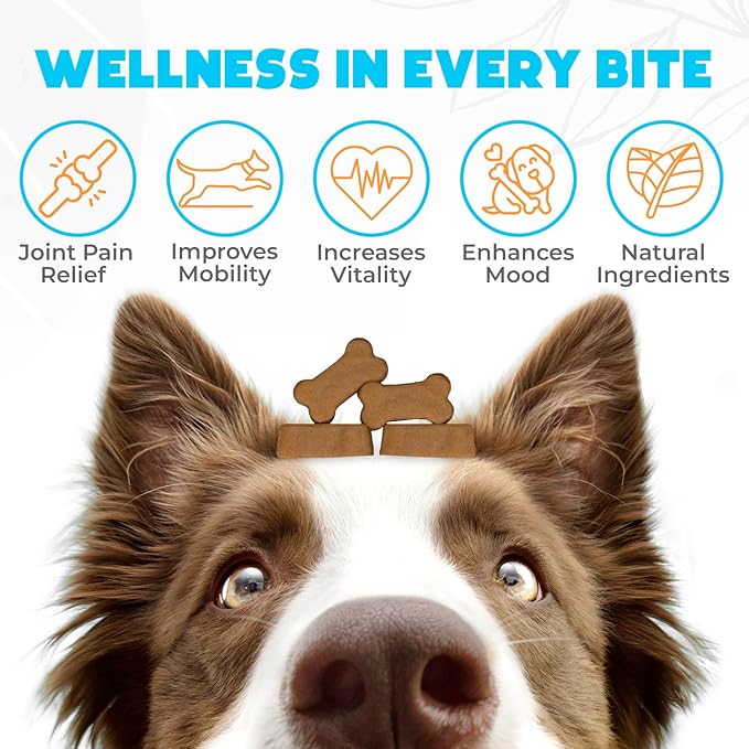 Glucosamine HCL & Hip and Joint Supplement for Dogs - 150 pcs - Hip and Joint Chews for Dogs - Vet Approved US Formula with MSM & Green Lipped Mussel - Beef