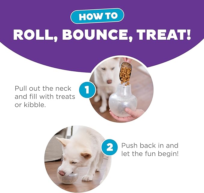 Outward Hound by Planet Dog Snoop Durable Interactive Treat Dispensing Dog Toy, Large, White