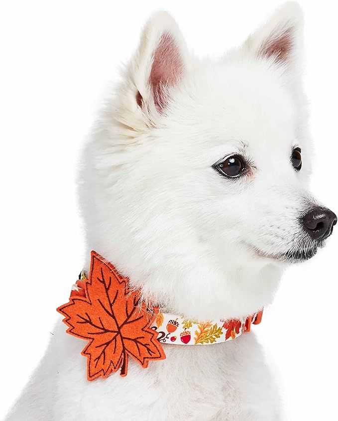 Blueberry Pet Adjustable Thanksgiving Dog Collar - Medium 14.5"-20" Neck, Perfect Puppy Collar for Fall, Maple Décor, Dog Collars for Small Dogs, Ideal for Family Photos & Matching Outfits